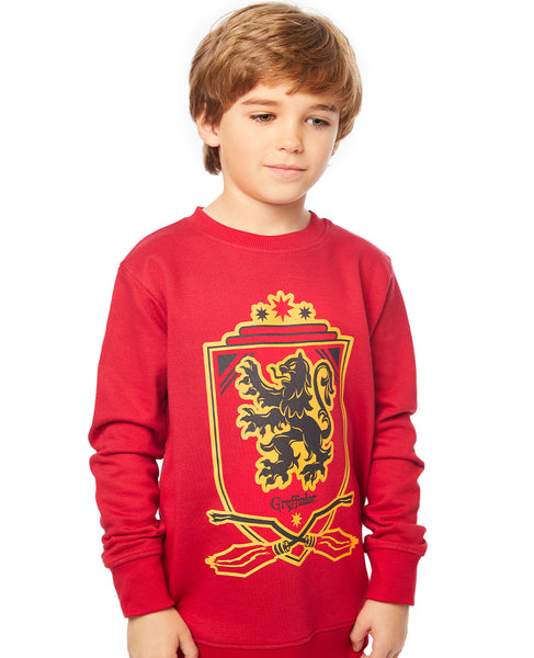 Gryffindor hotsell hoodie child